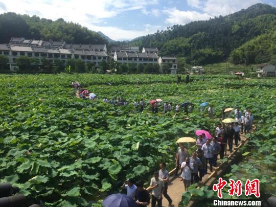 利山畲族村 莲都区宣传部提供 摄